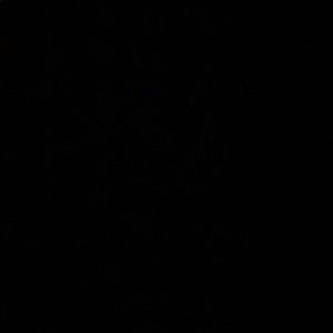 Meet your Posher, Ella